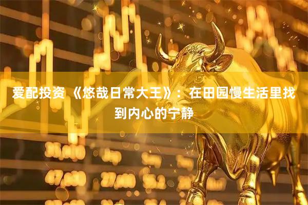 爱配投资 《悠哉日常大王》：在田园慢生活里找到内心的宁静