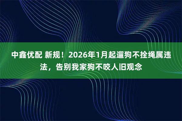 中鑫优配 新规!2026年1月起遛狗不拴绳属违法,告别我家狗不咬人旧观念
