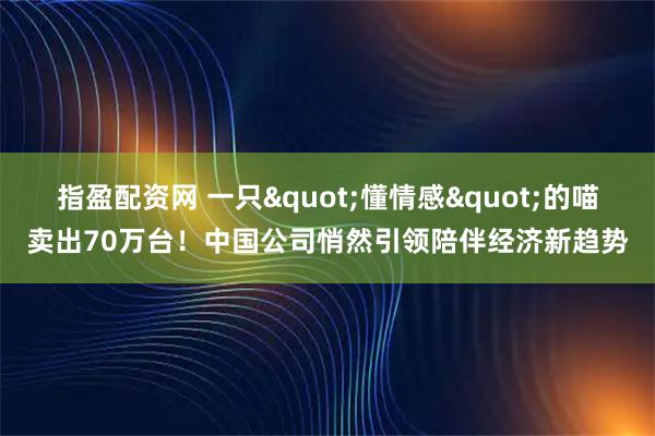 指盈配资网 一只"懂情感"的喵卖出70万台!中国公司悄然引领陪伴经济新趋势